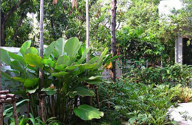 Sukhumvit Thonglor, Thonglor, Bangkok, Thailand, 2 Bedrooms Bedrooms, ,3 BathroomsBathrooms,House,For Rent,Sukhumvit Thonglor,11 Sukhumvit Thonglor, Thonglor, Bangkok, Thailand, 2 Bedrooms Bedrooms, ,3 BathroomsBathrooms,House,For Rent,Sukhumvit Thonglor,11