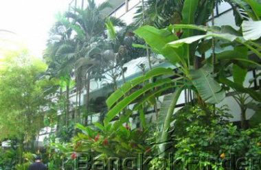 Nanglingchee Road Sathorn, Sathorn, Bangkok, Thailand, 4 Bedrooms Bedrooms, ,4 BathroomsBathrooms,Penthouse,For Rent,Praphai House,Nanglingchee Road Sathorn,41 Nanglingchee Road Sathorn, Sathorn, Bangkok, Thailand, 4 Bedrooms Bedrooms, ,4 BathroomsBathrooms,Penthouse,For Rent,Praphai House,Nanglingchee Road Sathorn,41