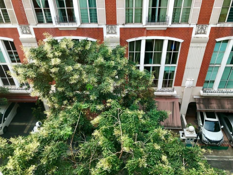 Sukhumvit-Thonglor, Thonglor, Bangkok, Thailand, 3 Bedrooms Bedrooms, ,3 BathroomsBathrooms,House,For Rent,Sukhumvit-Thonglor,1412