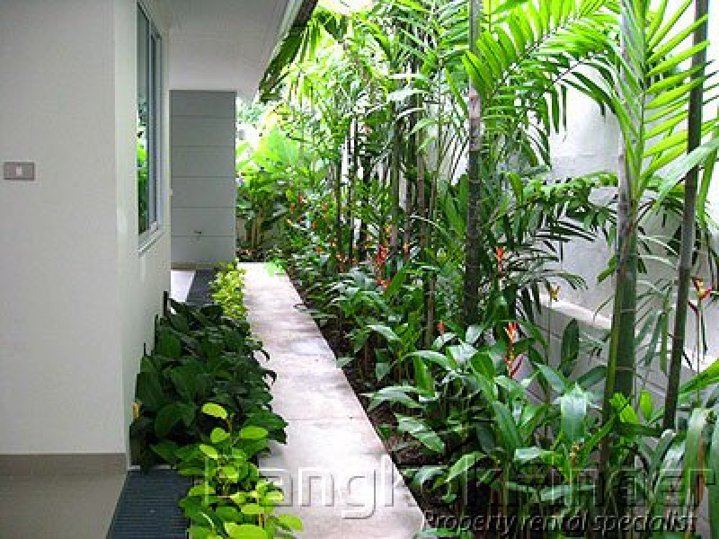 Sukhumvit-Phrom Phong, Phrom Phong, Bangkok, Thailand, 4 Bedrooms Bedrooms, ,5 BathroomsBathrooms,House,For Rent,Sukhumvit-Phrom Phong,1624