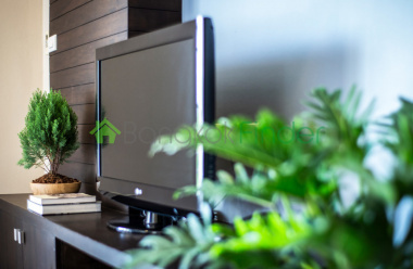 Bangna-Srinakarin, Bangkok, Thailand, 1 Bedroom Bedrooms, ,1 BathroomBathrooms,Condo,For Rent,The Tepp,3957 Bangna-Srinakarin, Bangkok, Thailand, 1 Bedroom Bedrooms, ,1 BathroomBathrooms,Condo,For Rent,The Tepp,3957