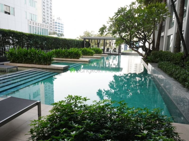 Thonglor, Bangkok, Thailand, 1 Bedroom Bedrooms, ,1 BathroomBathrooms,Condo,For Rent,Quattro by Sansiri,4383