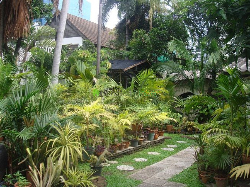 Ekamai, Bangkok, Thailand, 2 Bedrooms Bedrooms, ,2 BathroomsBathrooms,House,For Rent,4717