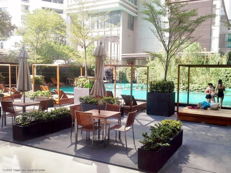 2 Bedrooms Bedrooms With 1 Bathroom Bathrooms Condo Building Amanta Lumpini Sukuhumvit In 24 Sukuhumvit, Sukhumvit, Bangkok, Thailand Price ฿100,000 4934,Emporio Place,Emporio PlaceEmporio PlaceEmporio Place,Emporio Place,Emporio Place,Emporio Place,Emporio Place,Emporio Place