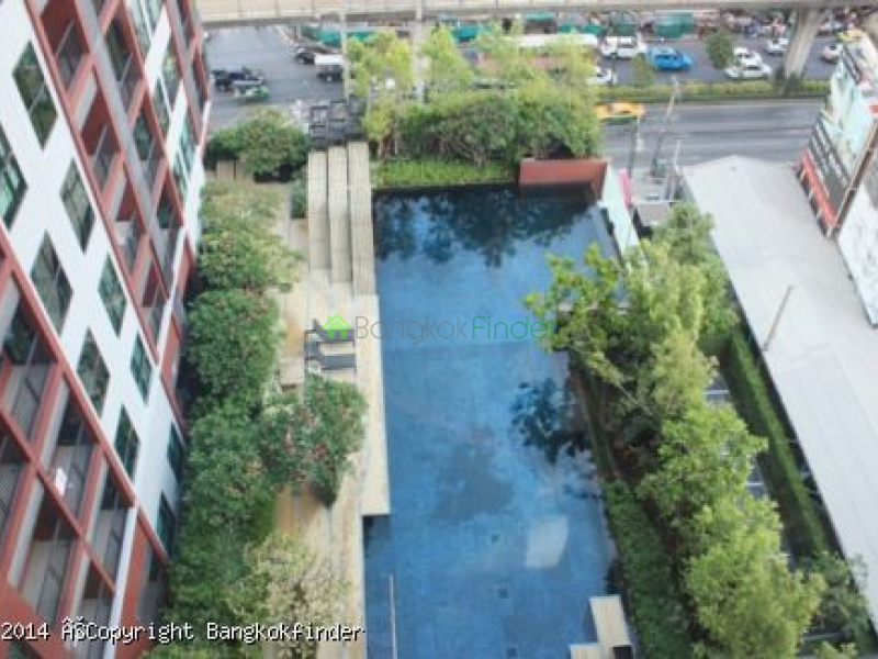 Bangna Trad, Bangna-Srinakarin, Thailand, 2 Bedrooms Bedrooms, ,2 BathroomsBathrooms,Condo,For Rent,NS Tower Central City,Bangna Trad,5556