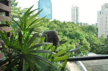 Ekamai, Bangkok, Thailand, 3 Bedrooms Bedrooms, ,4 BathroomsBathrooms,Condo,Sold,Baan Ananda,5238 Ekamai, Bangkok, Thailand, 3 Bedrooms Bedrooms, ,4 BathroomsBathrooms,Condo,Sold,Baan Ananda,5238