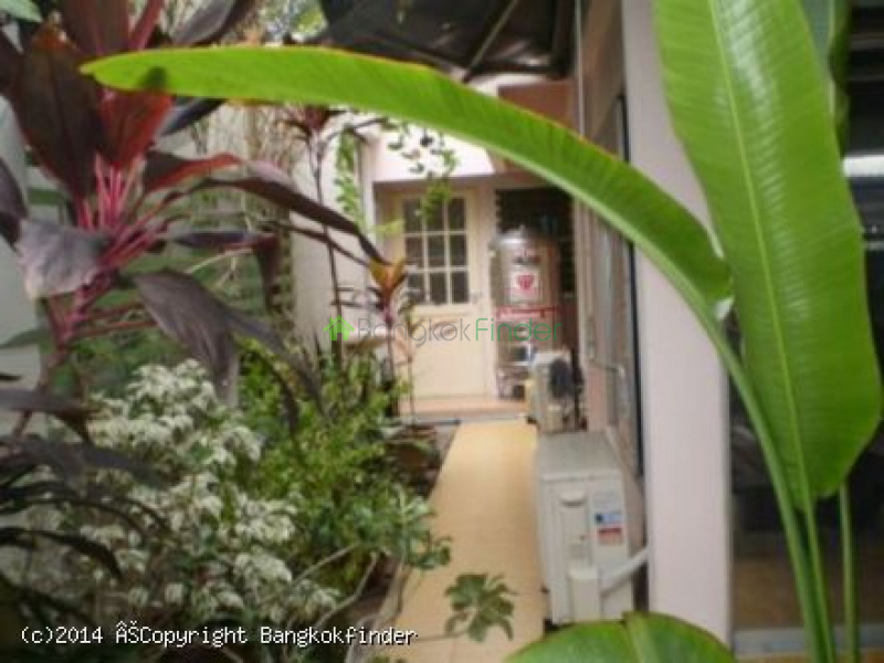 23 Sukhumvit, Asoke, Thailand, 3 Bedrooms Bedrooms, ,3 BathroomsBathrooms,House,For Rent,Sukhumvit,5569