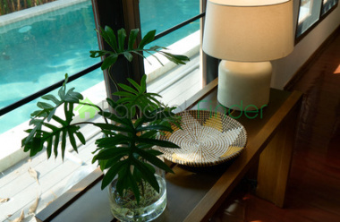 63 Sukhumvit, Ekkamai, Thailand, 4 Bedrooms Bedrooms, ,5 BathroomsBathrooms,House,For Rent,Sukhumvit,5617