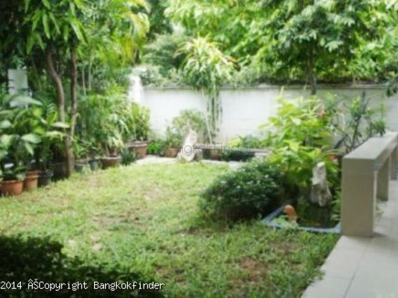 31 Sukhumvit, Asoke, Thailand, 3 Bedrooms Bedrooms, ,3 BathroomsBathrooms,House,Rented,Sukhumvit,5697