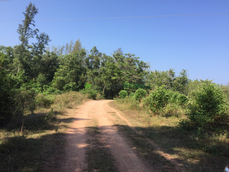 Maikhao, Mueang Phuket, Thailand, ,Land,For Sale,6462