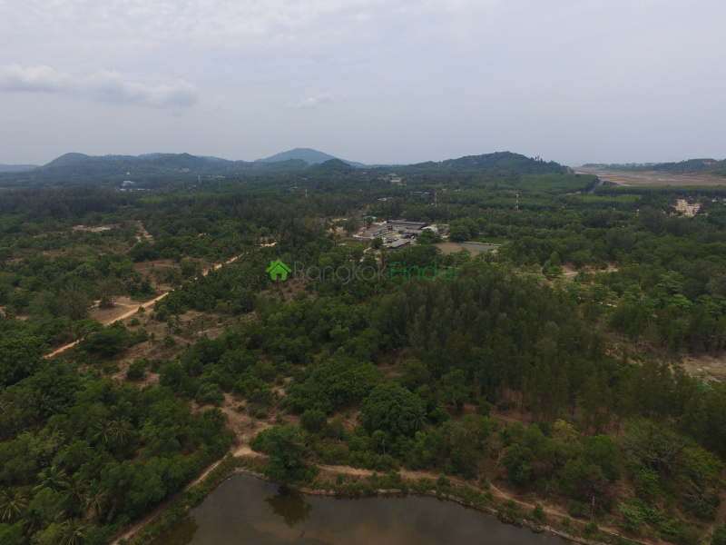 Maikhao, Mueang Phuket, Thailand, ,Land,For Sale,6462