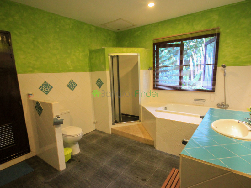 Soi Yotsane, Chalong, Mueang Phuket, Thailand, 3 Bedrooms Bedrooms, ,2 BathroomsBathrooms,House,For Rent,6487