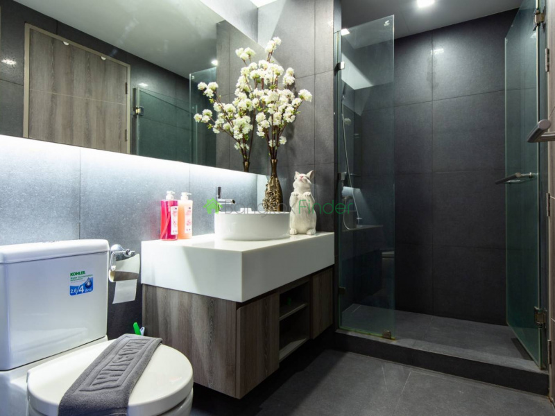 Asoke, Bangkok, Thailand, 1 Bedroom Bedrooms, ,1 BathroomBathrooms,Condo,For Rent,Trapezo Sukhumvit 16,6600