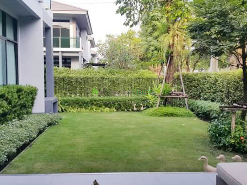 Pattanakarn, Bangkok, Thailand, 4 Bedrooms Bedrooms, ,4 BathroomsBathrooms,House,For Rent,6727