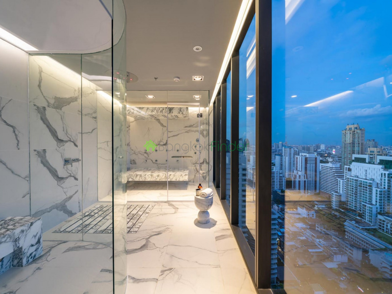 Asoke, Bangkok, Thailand, 3 Bedrooms Bedrooms, ,3 BathroomsBathrooms,Condo,For Rent,Celes Asoke,6794