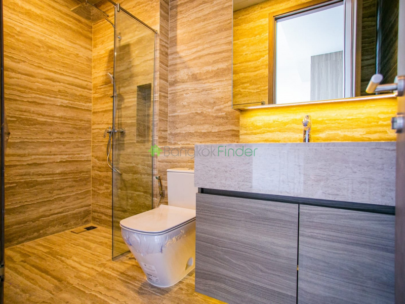 Asoke, Bangkok, Thailand, 3 Bedrooms Bedrooms, ,3 BathroomsBathrooms,Condo,For Rent,Celes Asoke,6794