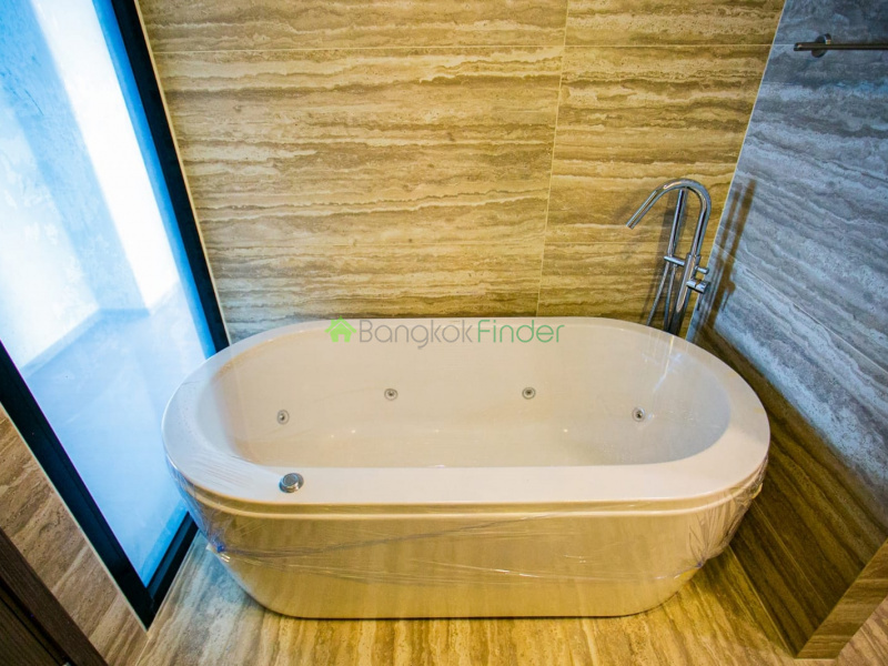 Asoke, Bangkok, Thailand, 3 Bedrooms Bedrooms, ,3 BathroomsBathrooms,Condo,For Rent,Celes Asoke,6794