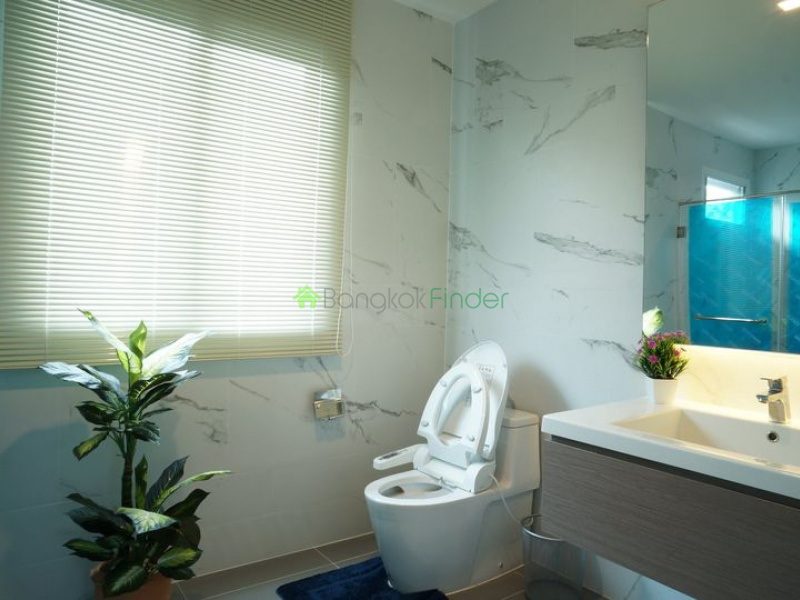 Bangna KM.7, Bangkok, Thailand, 5 Bedrooms Bedrooms, ,5 BathroomsBathrooms,House,Rented,6919