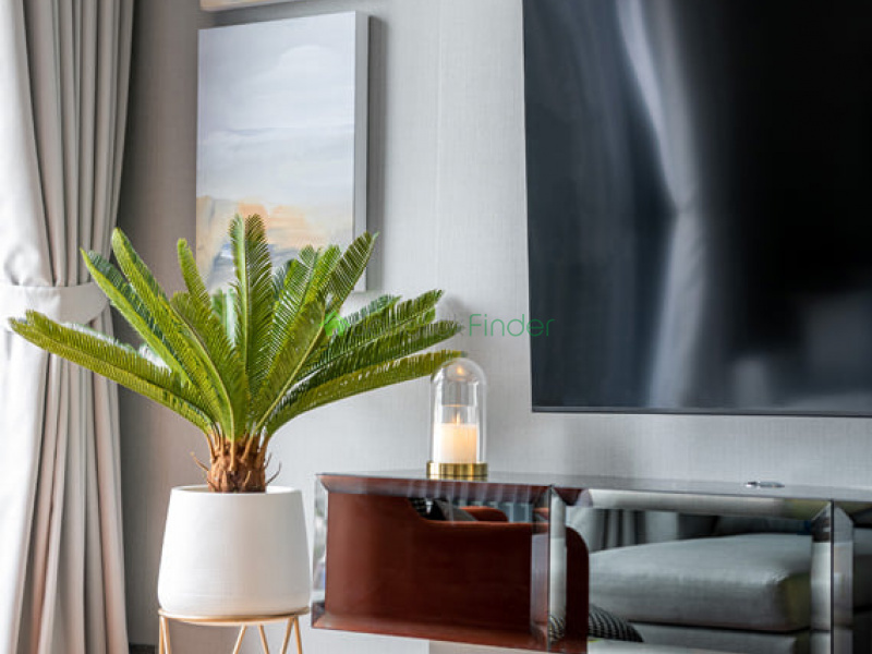 Thonglor, Bangkok, Thailand, 1 Bedroom Bedrooms, ,1 BathroomBathrooms,Condo,For Rent,Beatniq,6983