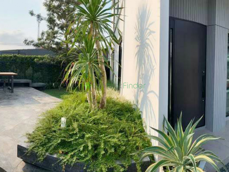 Bangna KM. 7, Bangkok, Thailand, 3 Bedrooms Bedrooms, ,4 BathroomsBathrooms,House,For Rent,7012