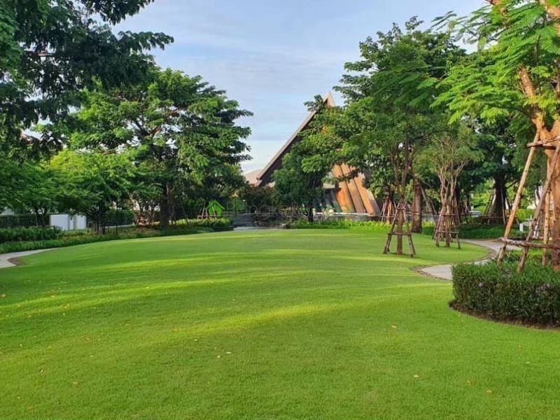 Pattanakarn, Bangkok, Thailand, 4 Bedrooms Bedrooms, ,5 BathroomsBathrooms,House,For Rent,7710