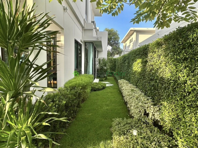 Bangna, Bangkok, Thailand, 4 Bedrooms Bedrooms, 0 ,5 BathroomsBathrooms,House,For Rent,7739