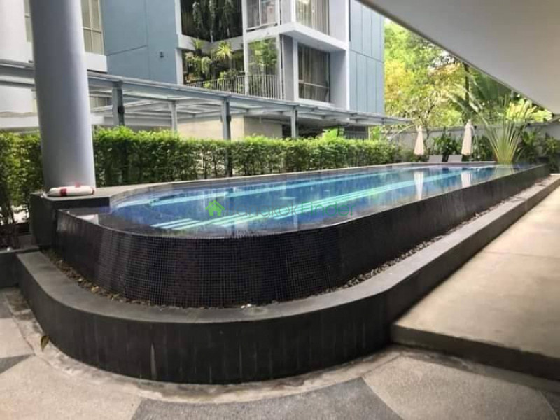 Sukhumvit 49, Bangkok, Thailand, 1 Bedroom Bedrooms, 0 ,1 BathroomBathrooms,Condo,For Rent,Downtown 49,7786