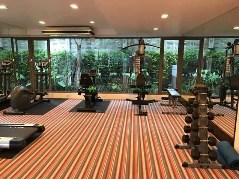 Sukhumvit 49, Bangkok, Thailand, 1 Bedroom Bedrooms, 0 ,1 BathroomBathrooms,Condo,For Rent,Downtown 49,7786