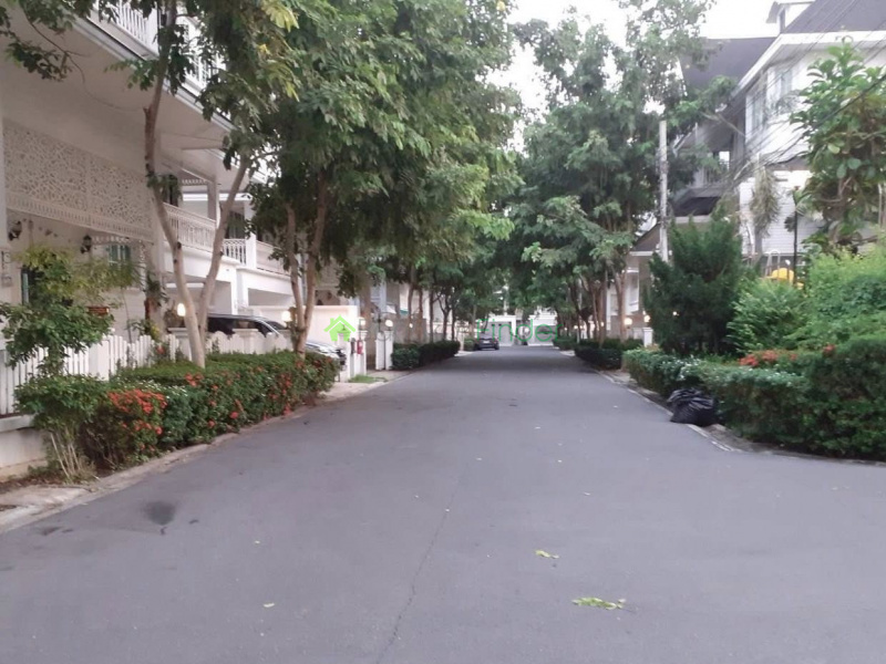 Sukhumvit 107, Bangkok, Thailand, 4 Bedrooms Bedrooms, 0 ,4 BathroomsBathrooms,House,For Sale,7818