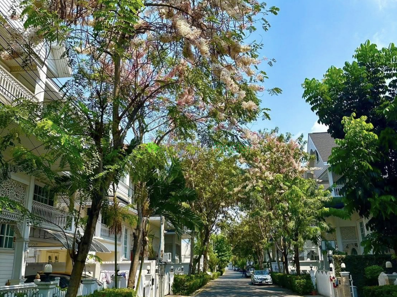 Sukhumvit 107, Bangkok, Thailand, 4 Bedrooms Bedrooms, 0 ,4 BathroomsBathrooms,House,For Sale,7818