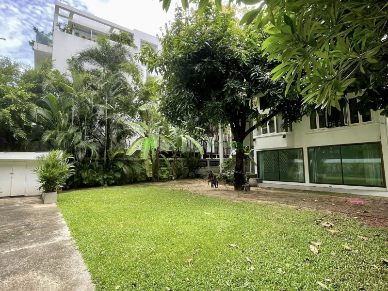 Ploenchit, Bangkok, Thailand, 2 Bedrooms Bedrooms, 0 ,4 BathroomsBathrooms,House,For Rent,7819